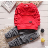 Autumn Winter Fall Cotton Sport Tracksuit